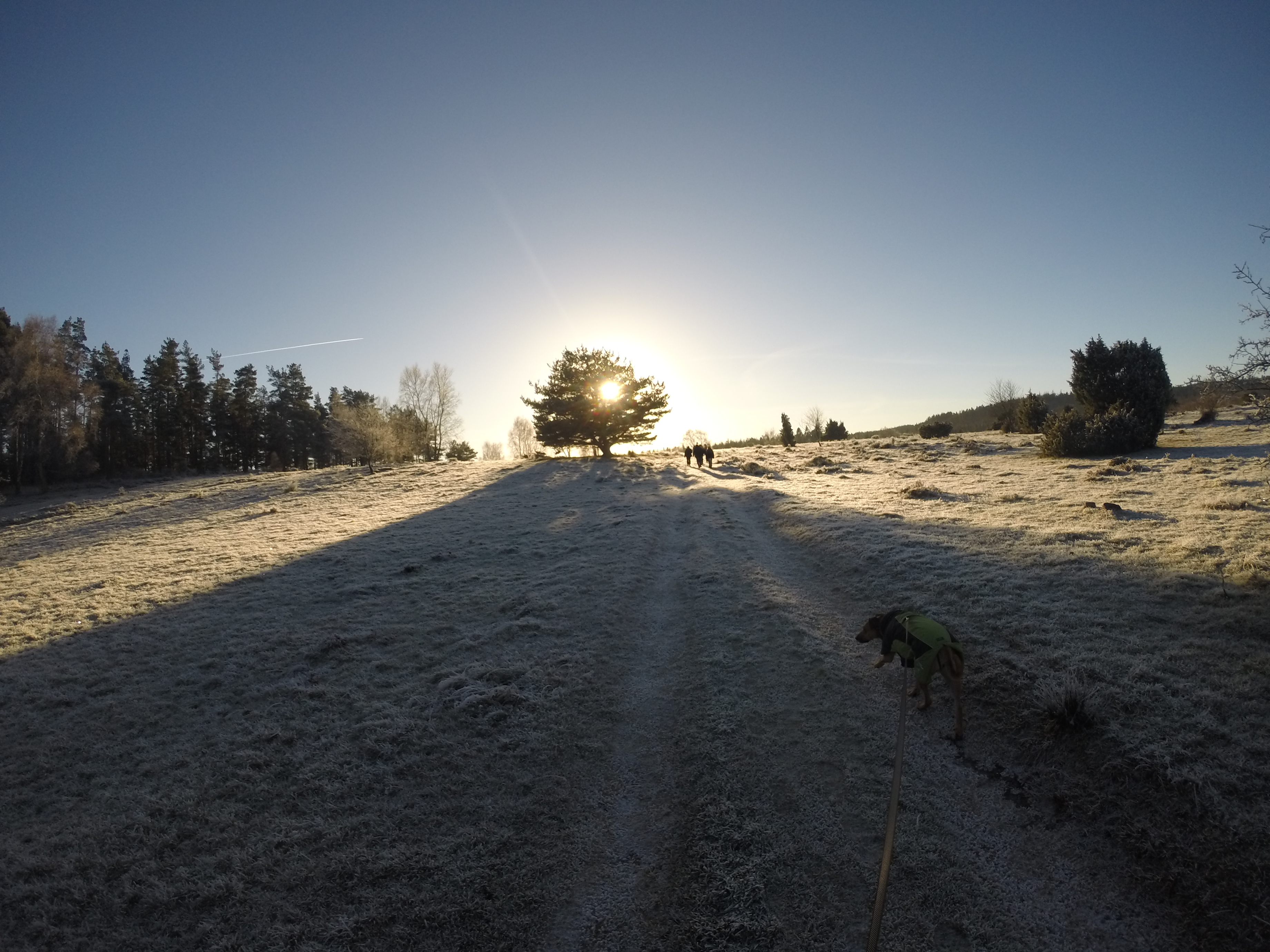 Grusgravning i Sdr. Vissing Bjerge