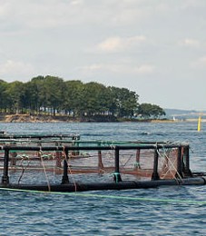 Beslutning om havbrug indklaget til EU